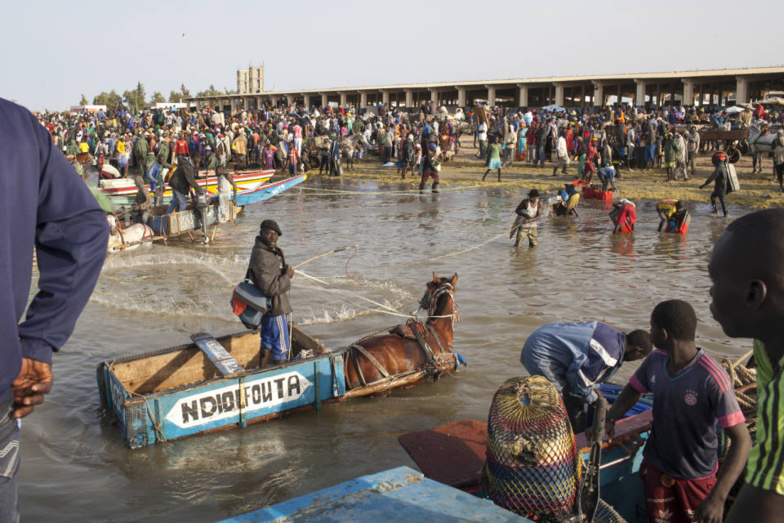 Lutte contre la migration clandestine : les habitants de Mbour Teffess déclarent la guerre aux passeurs Lutte contre la migration clandestine : les habitants de Mbour Teffess déclarent la guerre aux passeurs
