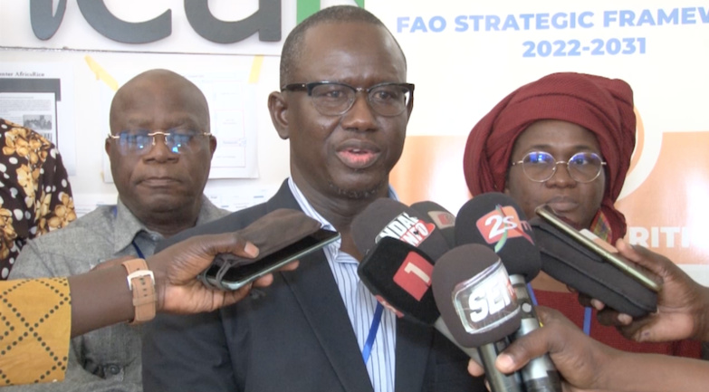 Autosuffisance alimentaire : jonction entre Africa Rice et la Fao pour disséminer les nouvelles pratiques agricoles