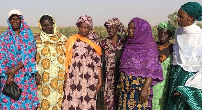 Campagne agricole 2024/2025 : une part conséquente du financement accordée aux femmes Campagne agricole 2024/2025 : une part conséquente du financement accordée aux femmes