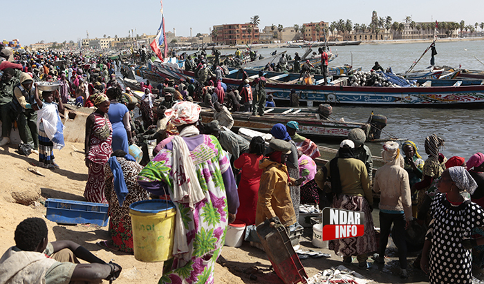 Pastef/Guet-Ndar rappelle les défis la pêche artisanale  Pastef/Guet-Ndar rappelle les défis la pêche artisanale