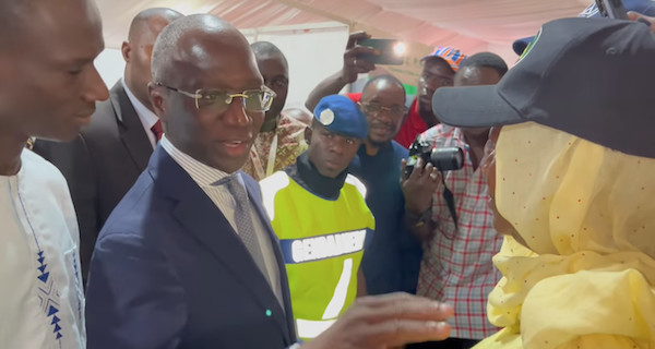 Intensification des productions agricoles : Mabouba DIAGNE marque son terrain Intensification des productions agricoles : Mabouba DIAGNE marque son terrain