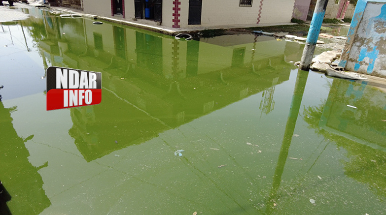 Les égouts refoulent à Médina Marmiyal : bloqué, le quartier appelle au secours Les égouts refoulent à Médina Marmiyal : bloqué, le quartier appelle au secours