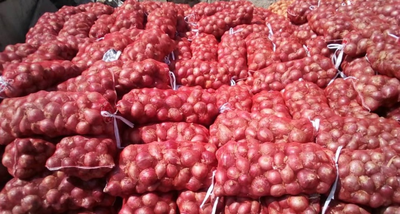 Oignon : le bas delta de la vallée du fleuve peine à écouler sa production Oignon : le bas delta de la vallée du fleuve peine à écouler sa production