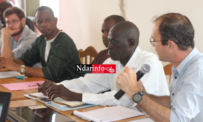 PRÉSERVATION DE LA MANGROVE : les Communes de Saint-Louis, Gandon et Gandiol s’engagent. PRÉSERVATION DE LA MANGROVE : les Communes de Saint-Louis, Gandon et Gandiol s’engagent.