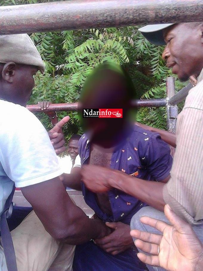 NGALLELE : un voleur de fer à construire alpagué (photos) NGALLELE : un voleur de fer à construire alpagué (photos)