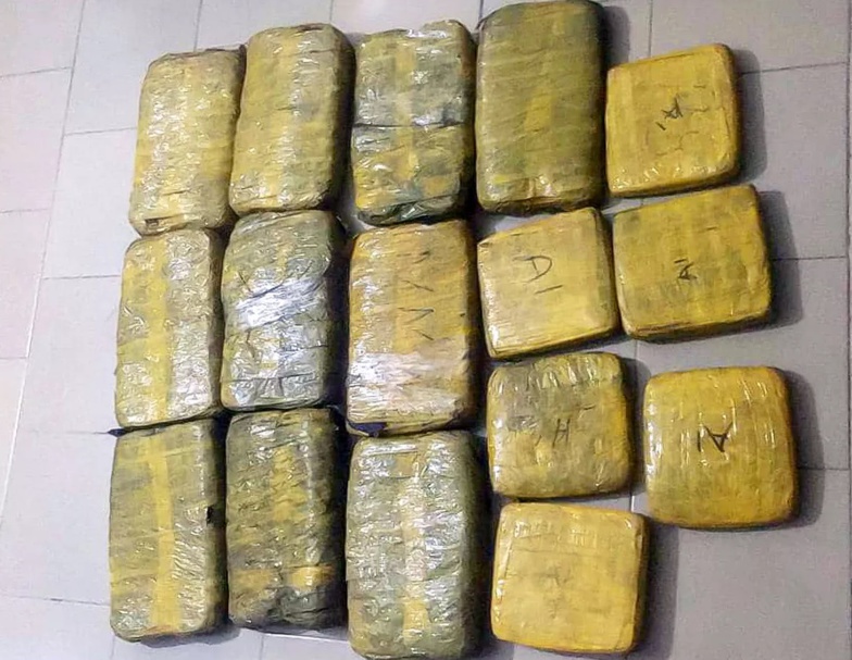 Ziguinchor : 12, 5 kg de chanvre indien saisis en l’espace d’une semaine Ziguinchor : 12, 5 kg de chanvre indien saisis en l’espace d’une semaine