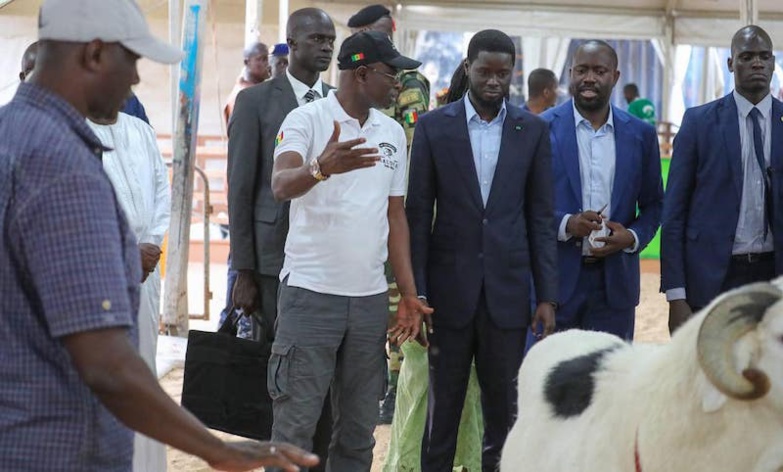 Tabaski 2024 : le PR achète deux béliers à Soumbédioune