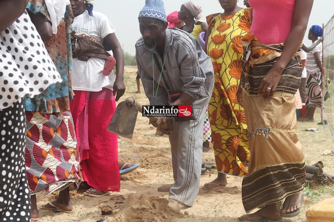 SAINT-LOUIS - DIELE MBAME, SENTINELLE DE l’ENVIRONNEMENT : 2.000 eucalyptus plantés par une mobilisation citoyenne. SAINT-LOUIS - DIELE MBAME, SENTINELLE DE l’ENVIRONNEMENT : 2.000 eucalyptus plantés par une mobilisation citoyenne.