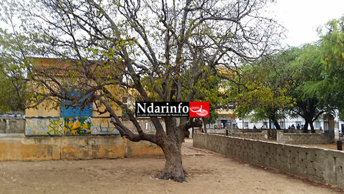PENDAISON A NDIOLOFFENE: un homme s'est suicidé dans la cour de l'école Macodou NDIAYE.
