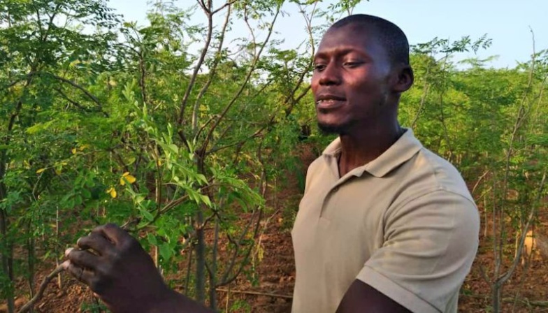 Fondateur de la start-up "Tamba labs": le pharmacien Doudou Tamba inventeur d’un biocide anti-moustique
