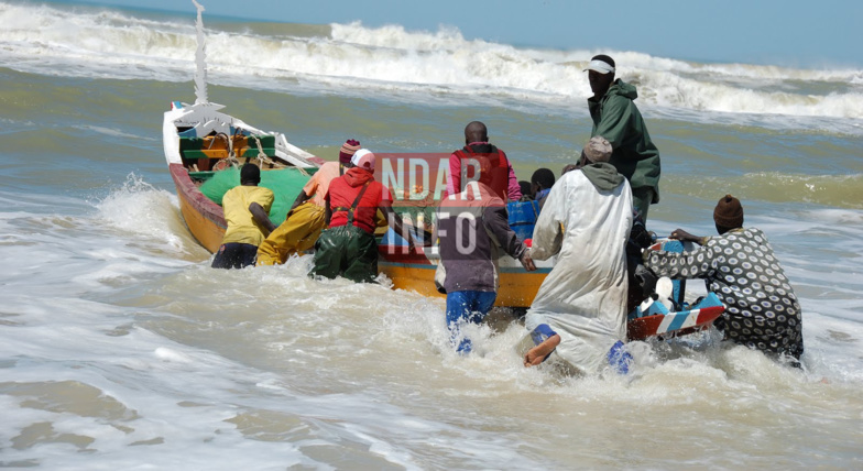 Gestion des ressources halieutiques : des " solutions beaucoup plus structurelles " annoncées par le Gouvernement Gestion des ressources halieutiques : des " solutions beaucoup plus structurelles " annoncées par le Gouvernement