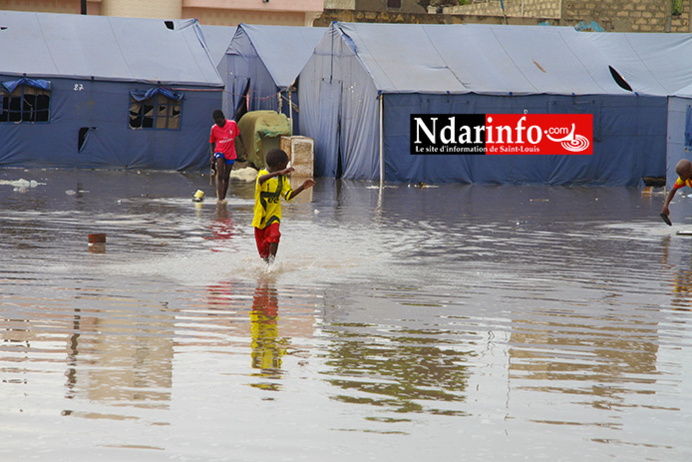 (Vidéo) LES SINISTRÉS DE GOXU MBACC SOUFFRENT: une misère à l’extrême. Regardez ! (Vidéo) LES SINISTRÉS DE GOXU MBACC SOUFFRENT: une misère à l’extrême. Regardez !