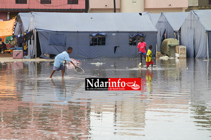 (Vidéo) LES SINISTRÉS DE GOXU MBACC SOUFFRENT: une misère à l’extrême. Regardez ! (Vidéo) LES SINISTRÉS DE GOXU MBACC SOUFFRENT: une misère à l’extrême. Regardez !