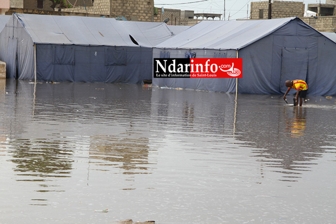 (Vidéo) LES SINISTRÉS DE GOXU MBACC SOUFFRENT: une misère à l’extrême. Regardez ! (Vidéo) LES SINISTRÉS DE GOXU MBACC SOUFFRENT: une misère à l’extrême. Regardez !