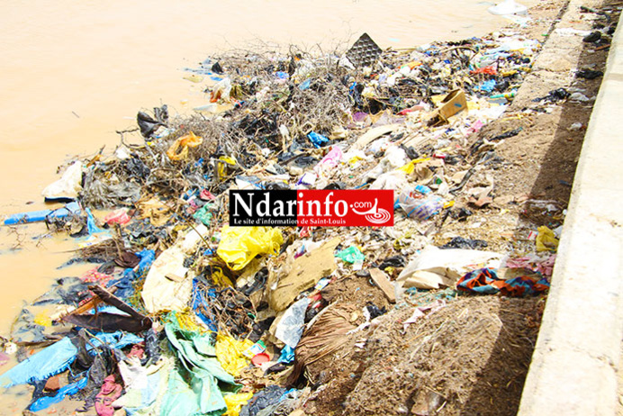 ASSAINISSEMENT : des puanteurs infectes s'attaquent à l’ile de Sud de Saint-Louis. ASSAINISSEMENT : des puanteurs infectes s'attaquent à l’ile de Sud de Saint-Louis.