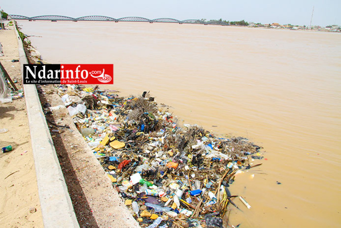 ASSAINISSEMENT : des puanteurs infectes s'attaquent à l’ile de Sud de Saint-Louis. ASSAINISSEMENT : des puanteurs infectes s'attaquent à l’ile de Sud de Saint-Louis.