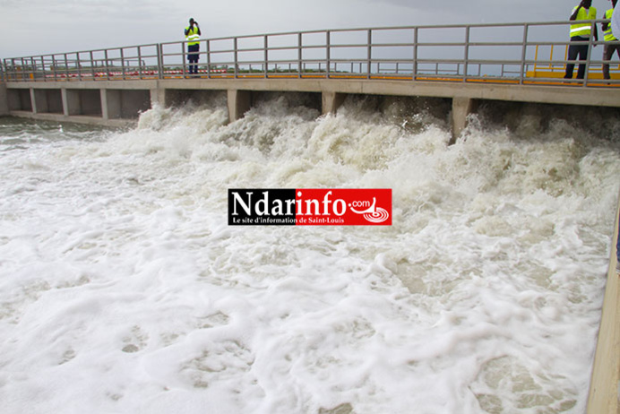 VIDEO - Suivez l'inauguration de l'emissaire du Delta par le Premier ministre Abdallah DIONNE VIDEO - Suivez l'inauguration de l'emissaire du Delta par le Premier ministre Abdallah DIONNE