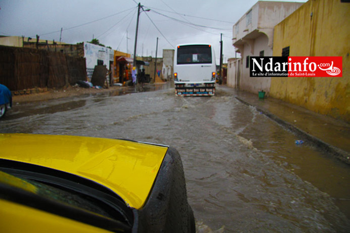 PHOTOS - VIDEO - PIKINE Patauge. PHOTOS - VIDEO - PIKINE Patauge.