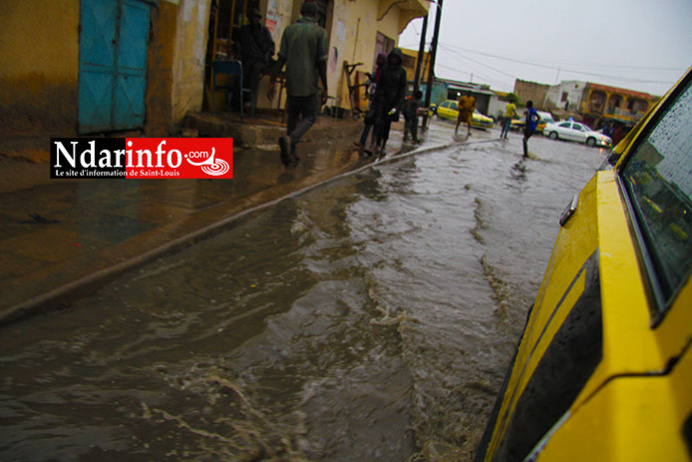 PHOTOS - VIDEO - PIKINE Patauge. PHOTOS - VIDEO - PIKINE Patauge.