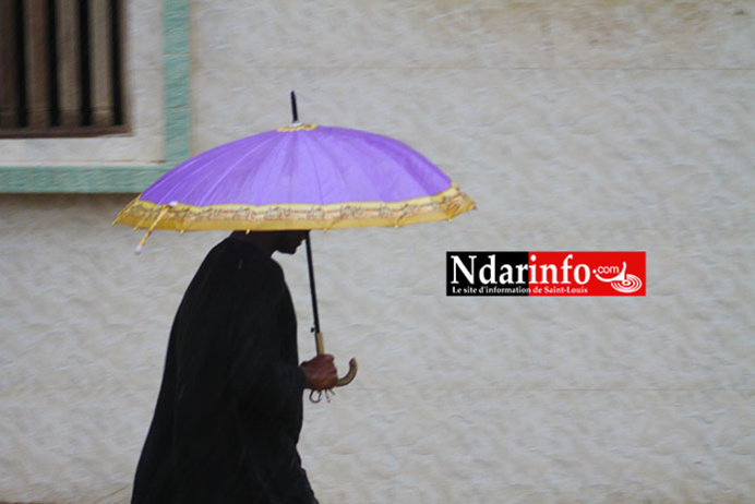 PHOTOS - VIDEO - PIKINE Patauge. PHOTOS - VIDEO - PIKINE Patauge.