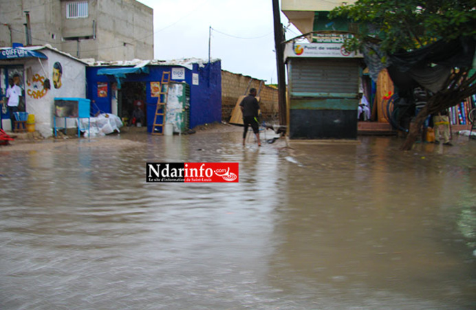 PHOTOS - VIDEO - PIKINE Patauge. PHOTOS - VIDEO - PIKINE Patauge.