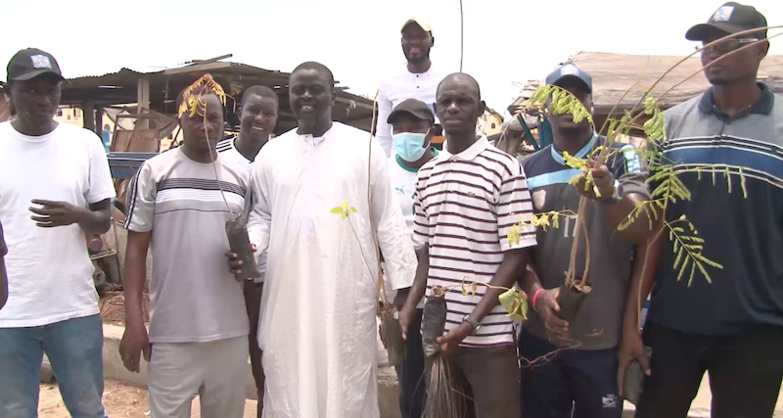 Journée nationale de l'Arbre : Pastef/ Langue de Barbarie reboise et sensibilise sur les impacts environnementaux Journée nationale de l'Arbre : Pastef/ Langue de Barbarie reboise et sensibilise sur les impacts environnementaux