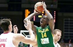 Afrobasket, Sénégal - Nigéria (79-88): Les lions échouent en demi-finale