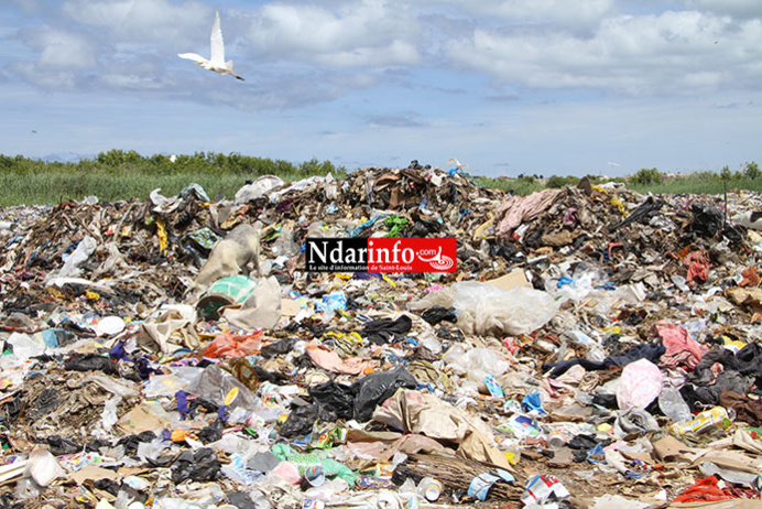 DÉPOTOIR D’ORDURES DE PIKINE/SAINT-LOUIS: les images de la Honte. DÉPOTOIR D’ORDURES DE PIKINE/SAINT-LOUIS: les images de la Honte.