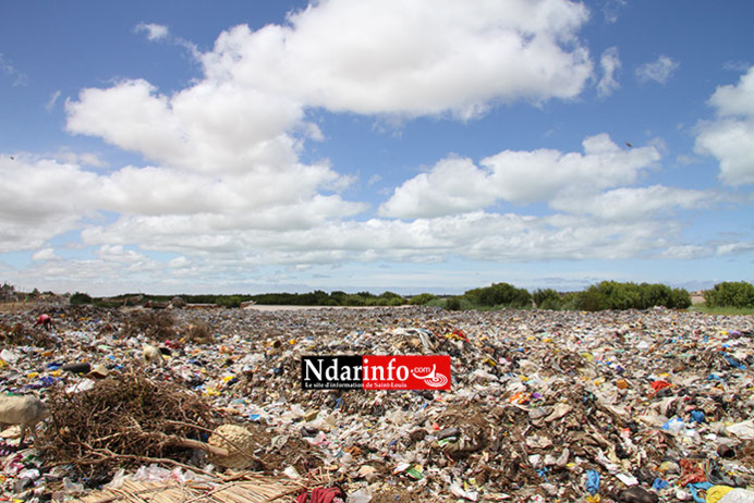 DÉPOTOIR D’ORDURES DE PIKINE/SAINT-LOUIS: les images de la Honte. DÉPOTOIR D’ORDURES DE PIKINE/SAINT-LOUIS: les images de la Honte.
