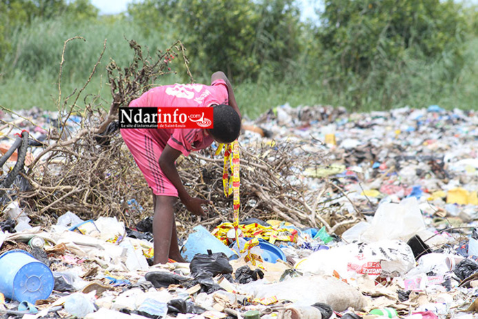 DÉPOTOIR D’ORDURES DE PIKINE/SAINT-LOUIS: les images de la Honte. DÉPOTOIR D’ORDURES DE PIKINE/SAINT-LOUIS: les images de la Honte.