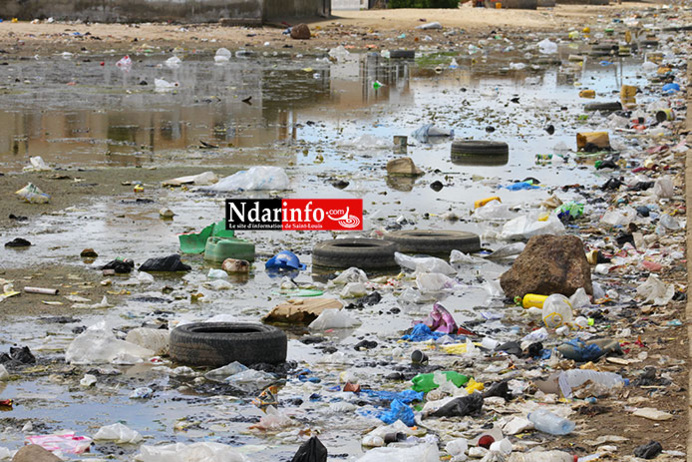 DÉPOTOIR D’ORDURES DE PIKINE/SAINT-LOUIS: les images de la Honte. DÉPOTOIR D’ORDURES DE PIKINE/SAINT-LOUIS: les images de la Honte.
