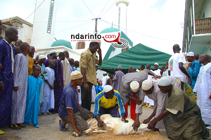 TABASKI 2015 – MOSQUÉE IHSANE : « le sacrifice d’Abraham est un viatique fort pour le musulman », rappelle Serigne Moustapha CISSE..