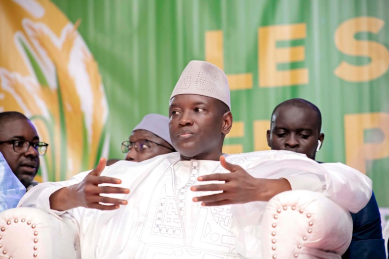 Législatives du 17 Novembre : le PSD Njariñ d'Aly Ngouille Ndiaye ne présentera pas de candidats Législatives du 17 Novembre : le PSD Njariñ d'Aly Ngouille Ndiaye ne présentera pas de candidats