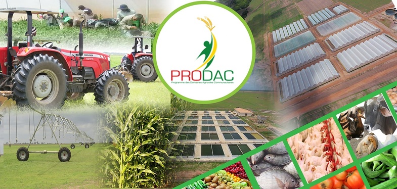 Domaines agricoles communautaires du PRODAC : 2,3 milliards virés avant l'enregistrement du contrat avec les Israéliens Domaines agricoles communautaires du PRODAC : 2,3 milliards virés avant l'enregistrement du contrat avec les Israéliens