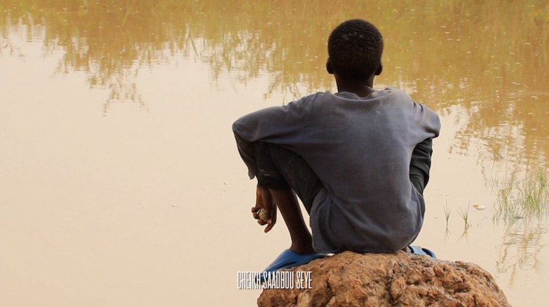 Crue du Fleuve Sénégal : L'OMVS appelle à la vigilance Crue du Fleuve Sénégal : L'OMVS appelle à la vigilance