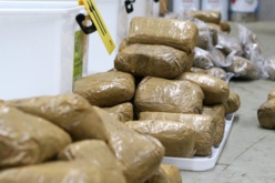 Arrestation d’un Sénégalais en possession d’une quantité de drogue en Mauritanie