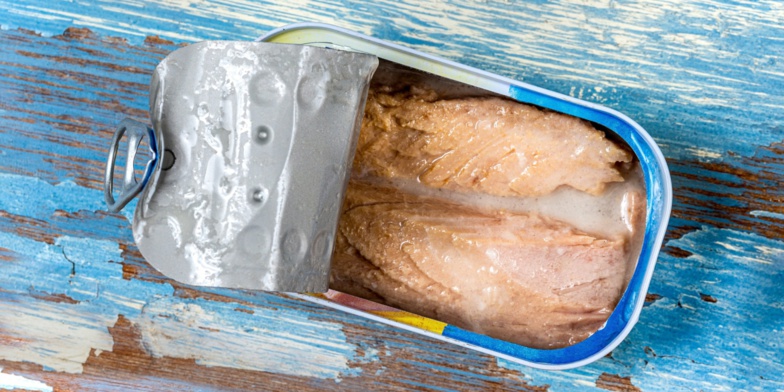 Des ONG révèlent la présence de mercure dans le thon en conserve Des ONG révèlent la présence de mercure dans le thon en conserve