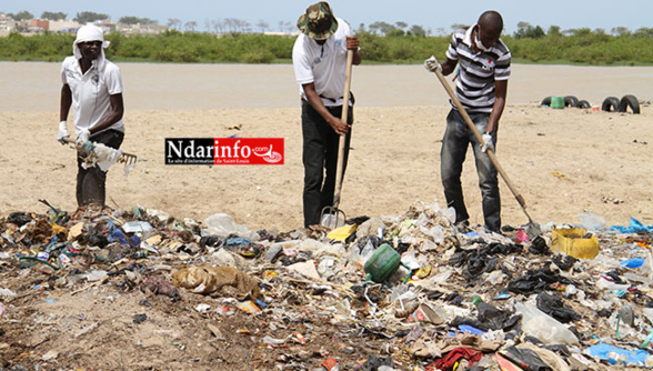 LA DIGUE, LE PALUDISME ET LES CHIENS ERRANTS : les Pikinois au combat (vidéo) LA DIGUE, LE PALUDISME ET LES CHIENS ERRANTS : les Pikinois au combat (vidéo)