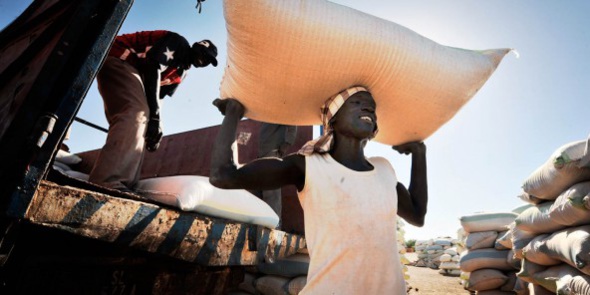 Au Sénégal, la croissance est dans les champs Au Sénégal, la croissance est dans les champs