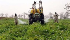 Agriculture dans la vallée du fleuve sénégal : La coopération espagnole accorde une rallonge de 250 millions de FCfa au Psdar