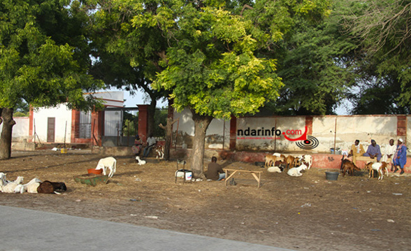 BLOCAGE DES CIMETIERES DE DAROU : le cri de cœur des fidèles chrétiens de Saint-Louis (audio) BLOCAGE DES CIMETIERES DE DAROU : le cri de cœur des fidèles chrétiens de Saint-Louis (audio)