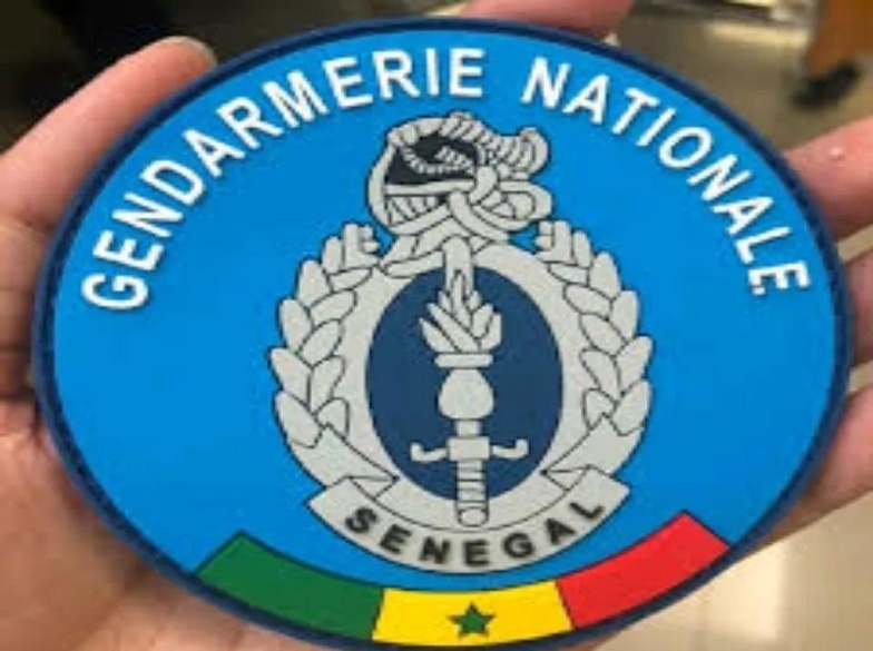 Affaire West african Energy : Ces noms dans le viseur des gendarmes Affaire West african Energy : Ces noms dans le viseur des gendarmes