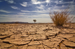 Changement climatique : La 8ème édition du Forum PRCM est lancée à Praia !