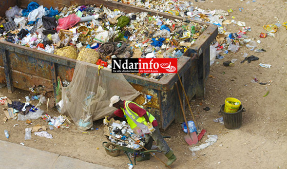 Au Sud de l'ile de Saint-Louis. Au Sud de l'ile de Saint-Louis.