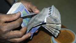ECONOMIE: Baisse de plus de 4% du secteur primaire au Sénégal.