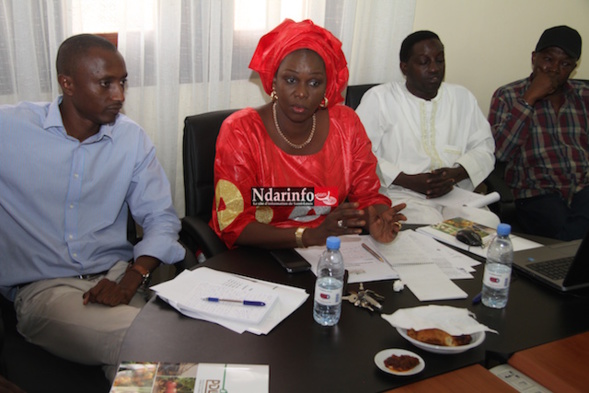 AGRIBUSINESS : le PDIDAS va développer l'entrepreneuriat agricole (directrice) AGRIBUSINESS : le PDIDAS va développer l'entrepreneuriat agricole (directrice)