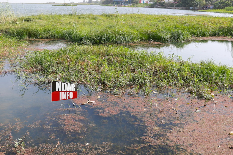 Bango : la prolifération des plantes envahissantes, une menace pour la pêche Bango : la prolifération des plantes envahissantes, une menace pour la pêche