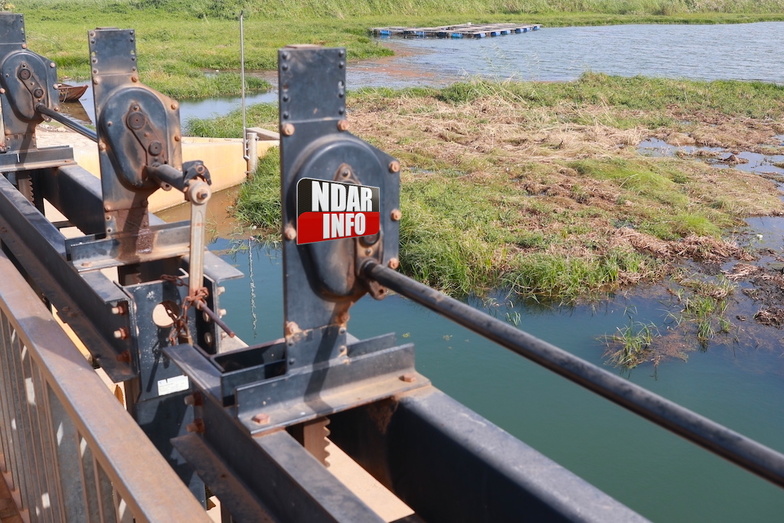 Bango : la prolifération des plantes envahissantes, une menace pour la pêche Bango : la prolifération des plantes envahissantes, une menace pour la pêche