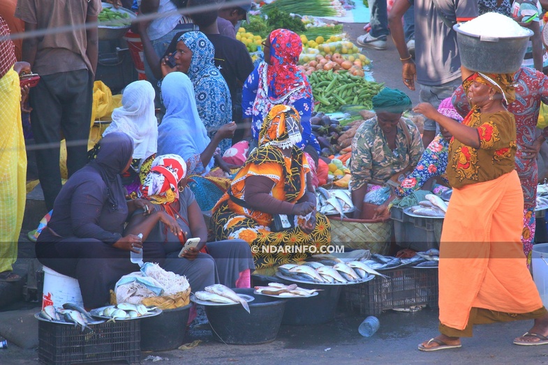 Saint-Louis - Météo : des températures allant de 14°C à 25°C annoncées Saint-Louis - Météo : des températures allant de 14°C à 25°C annoncées