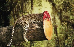 LUTTE CONTRE LA CRIMINALITE FAUNIQUE AU SENEGAL : 3 trafiquants condamnés à 6 mois prison ferme et au paiement solidaire de 7 millions CFA LUTTE CONTRE LA CRIMINALITE FAUNIQUE AU SENEGAL : 3 trafiquants condamnés à 6 mois prison ferme et au paiement solidaire de 7 millions CFA